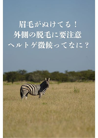 眉毛がぬけてる！外側の脱毛に要注意