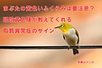 まぶたの黄色いふくらみは危険信号?眼瞼黄色腫が教えてくれる動脈硬化のサイン