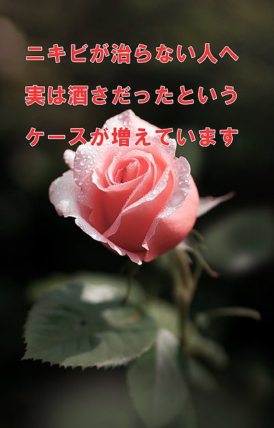 ニキビが治らない人へ──実は酒さだったというケースが増えています