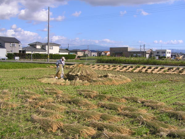 本多宗勝 ほんだむねかつ