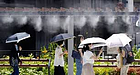 日本列島・連日の「災害級の暑さ」と「災害級の大雨」