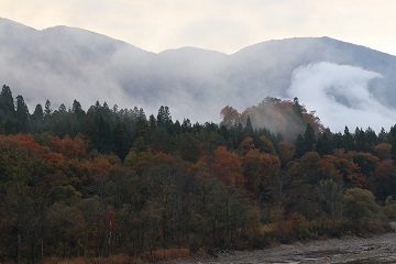 短い秋と、やって来る冬の境界線