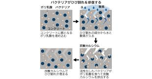 ひび割れを自ら直す魔法のようなコンクリート