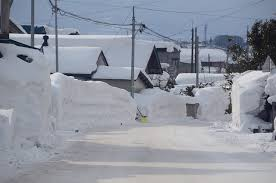 青森は災害級の豪雪、那覇は桜開花宣言