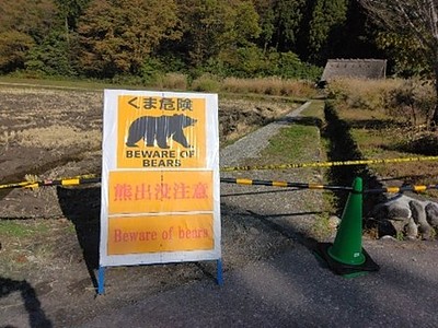 ここが、クマが人を襲った現場