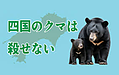四国では、クマは絶滅危惧種