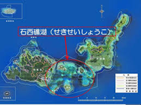 沖縄・サンゴ礁白化の回復