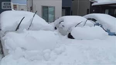 「最強最長の寒波」で疲労困憊