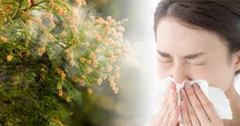 花粉症による経済損失は、1日約2,500億円