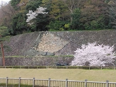 あまり注目されていない、能登半島地震からの復旧復興