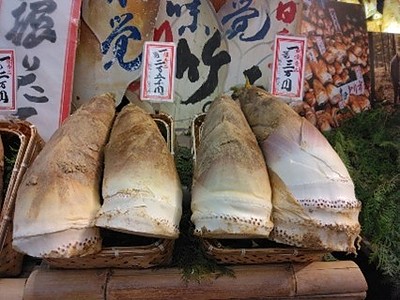 旬の筍は「高嶺の花」