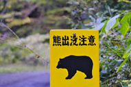 熊の出没で、観光産業が大打撃