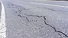 劣化した道路を「トウモロコシ」で救う