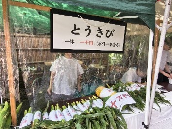 猛暑の中、今年もあの風物詩がやってきた