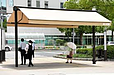 「都会の日傘」はあまりにも高価・・