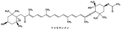 フコキサンチン構造