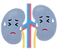 腎機能低下は漢方薬で腎臓をサポートできます//石川県漢方専門薬局