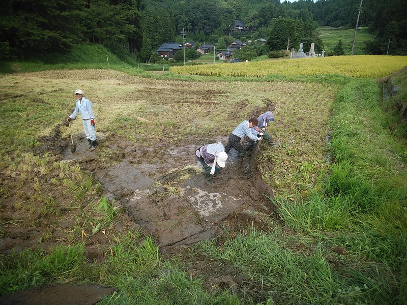 コンパネ撤収