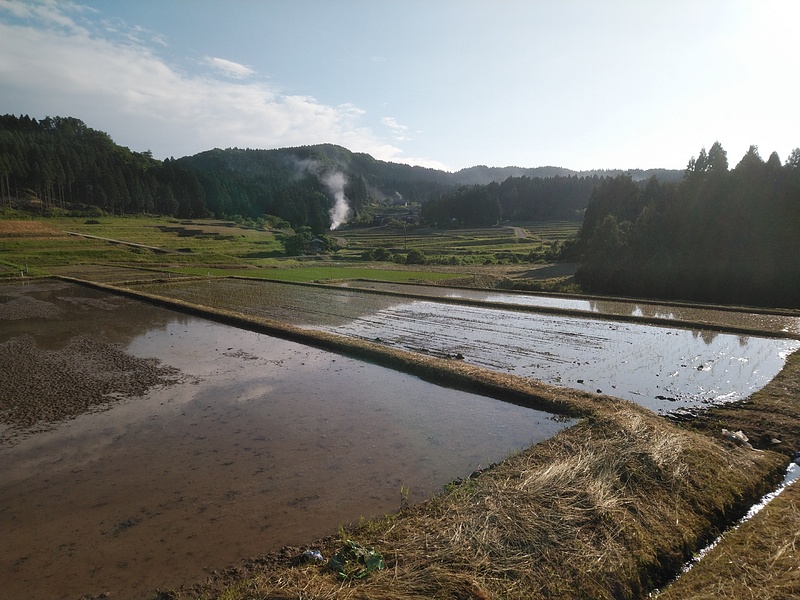 田植え時期の金蔵の棚田