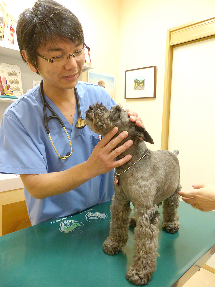 田村兼人 たむらかねと