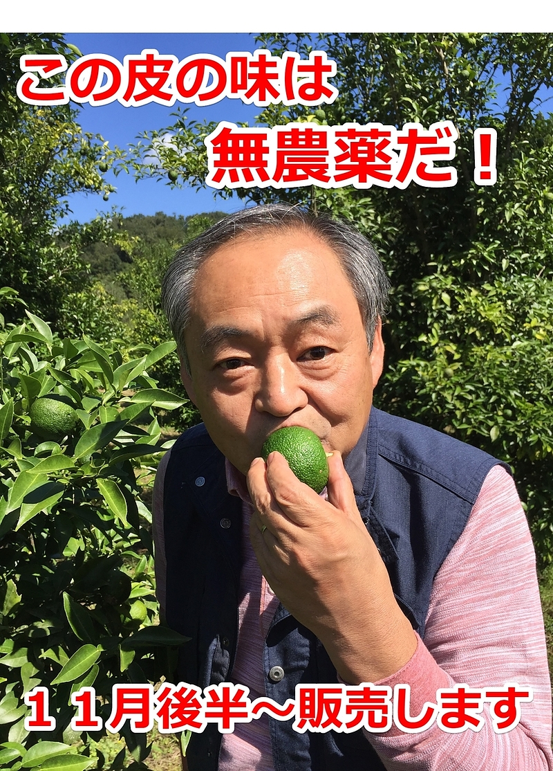 農薬の味　肥料の味　添加物の味