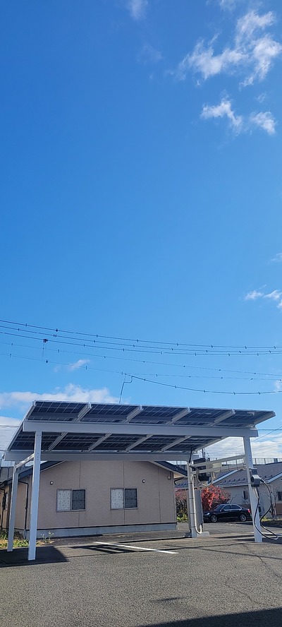 ワイズソレイユ