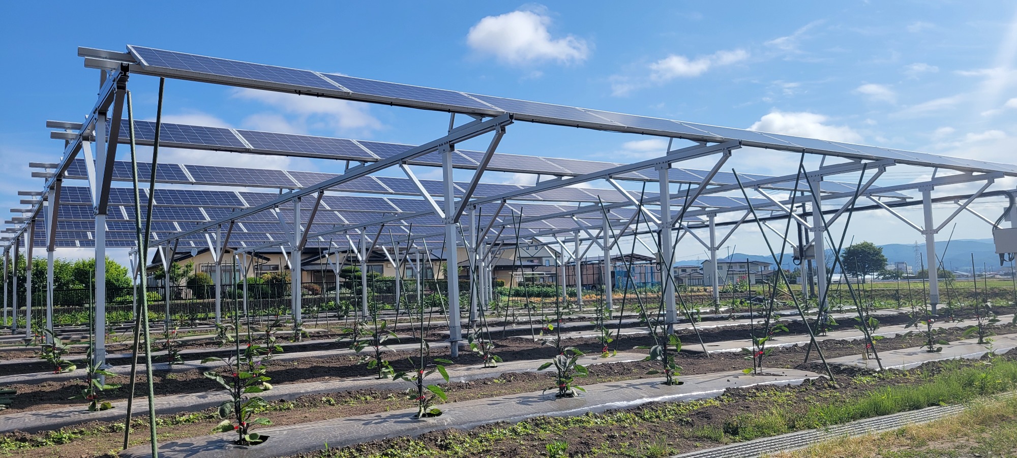 農業シェアリング