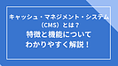 キャッシュ・マネジメント・システム（CMS）の特徴と機能