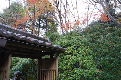 秋の京都1（瑠璃光院）