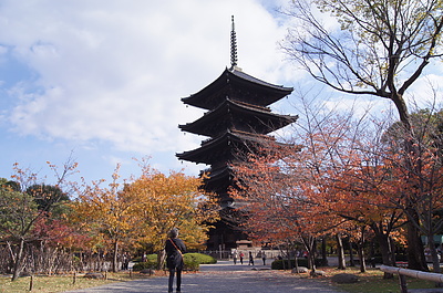 京都の秋1