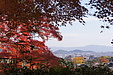 京都の秋16