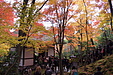 京都の秋20