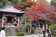 京都の秋29