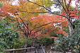 京都の秋32