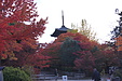 京都の秋35