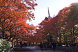 京都の秋36