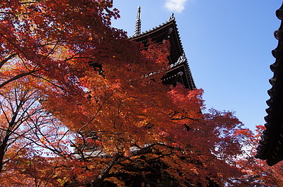 京都の秋40