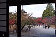 京都の秋41