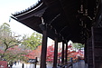 京都の秋42