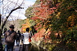 京都の秋48