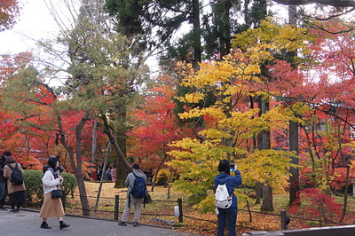 京都の秋56
