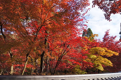 京都の秋58