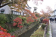 京都の秋59