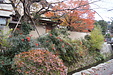 京都の秋60