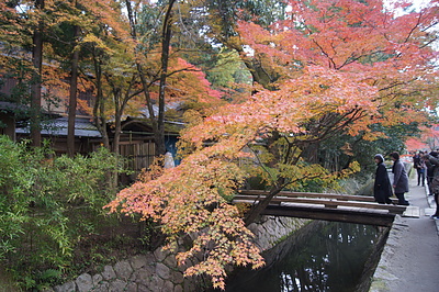 京都の秋68