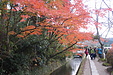 京都の秋69