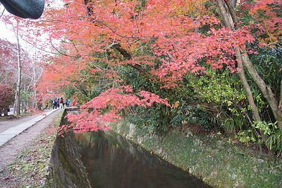 京都の秋70