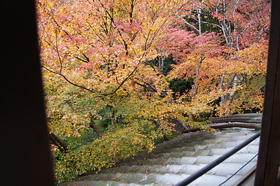 京都の秋77