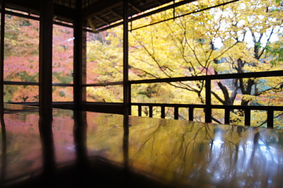 京都の秋80