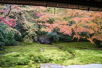 京都の秋83